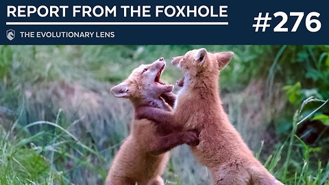 Report from the Foxhole: The 276th Evolutionary Lens with Bret Weinstein and Heather Heying