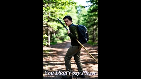 You Didn't Say Please