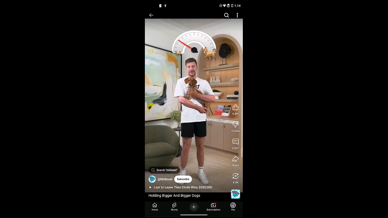 Mr beast