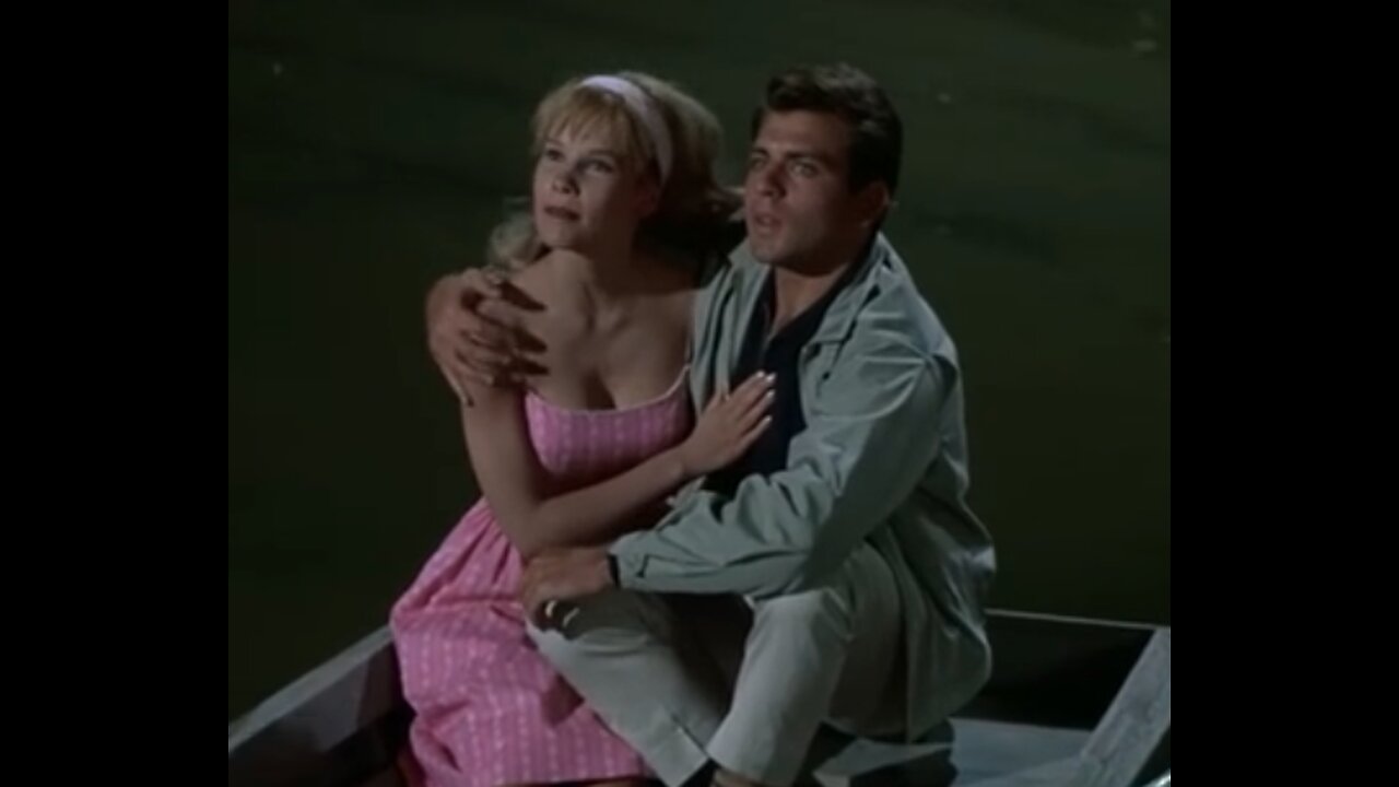 Dear Brigitte 1965