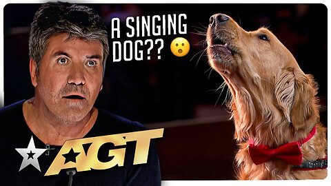 Amazing & Adorable Animal Auditions on America's Got Talent!