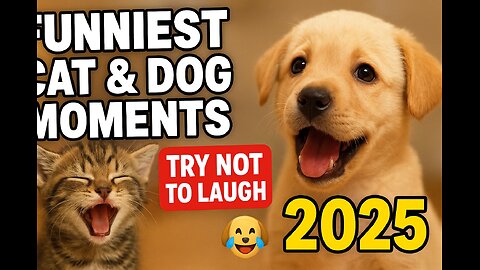 Funniest Cat & Dog Moments 😹🐶 | Try Not to Laugh Compilation 2025
