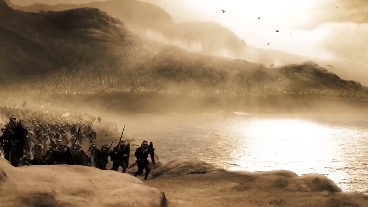 MardaB - Where We Fight