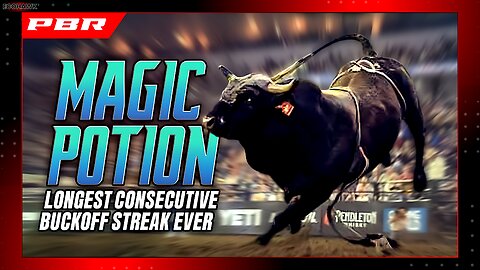 Magic Potion 🐂 The Bull That Can’t Be Tamed