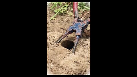 Snake hunting