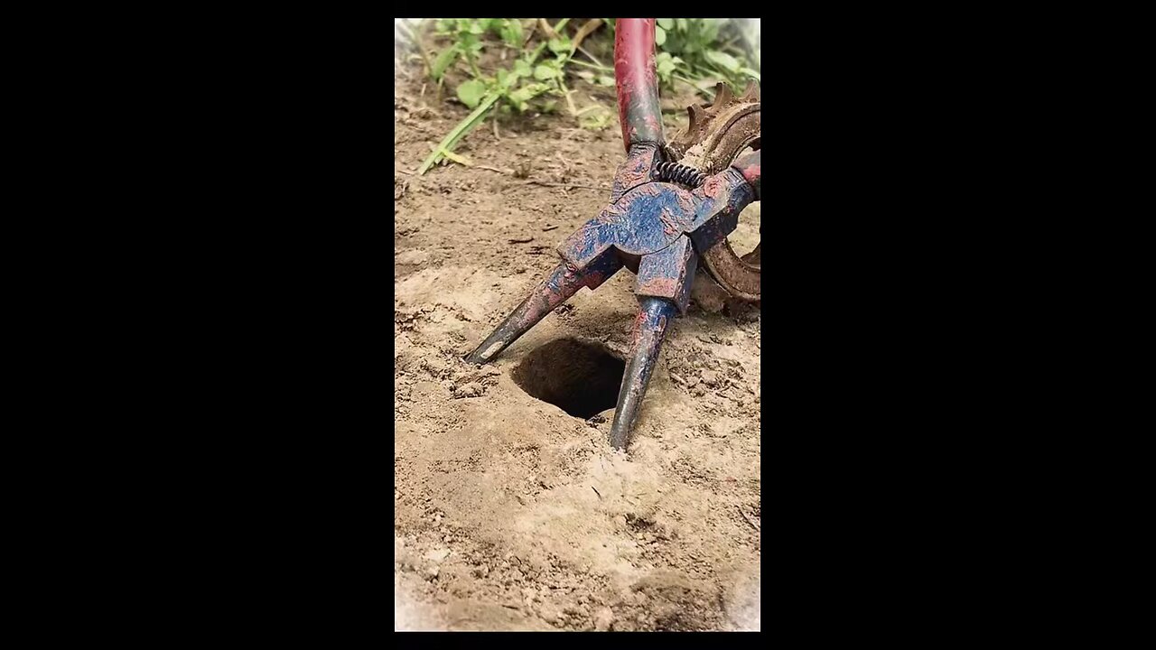 Snake hunting