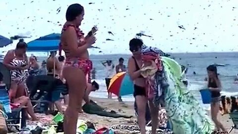 "Supersized Dragonfly Swarm Turns Rhode Island Beach into Apocalyptic Scene"