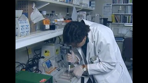 Supercharge Your Immune System