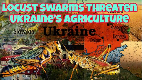 Locust Swarms Threaten Ukraine’s Agriculture