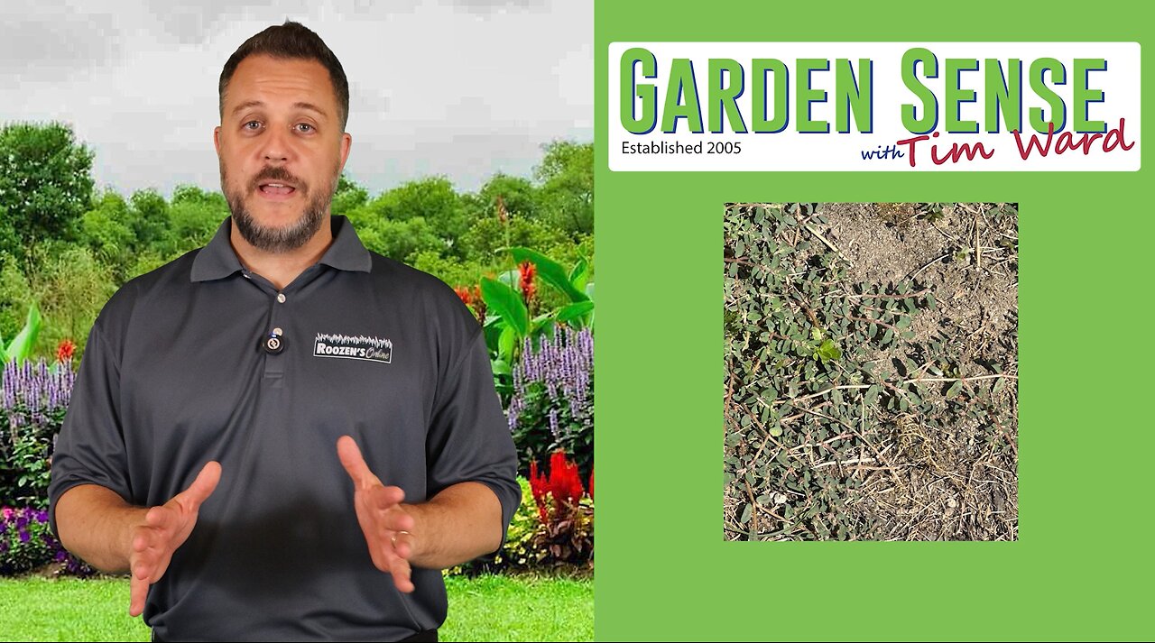 Garden Sense with Tim Ward - 08.13.25
