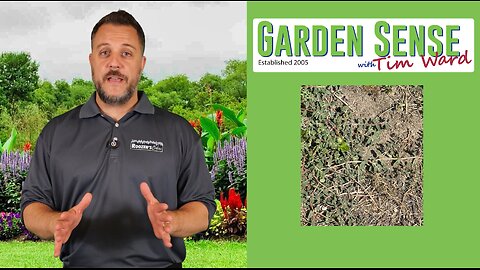 Garden Sense with Tim Ward - 08.13.25