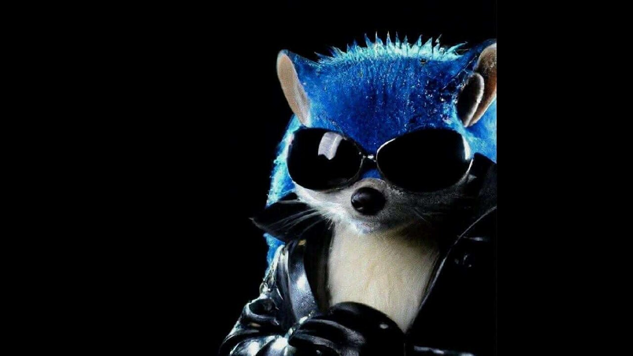 ((BITCHUTE-RUMBLE EXCLUSIVE SERIES))-Offensive Memes- Best Of 4CHAN GIF YLYL VOL-297