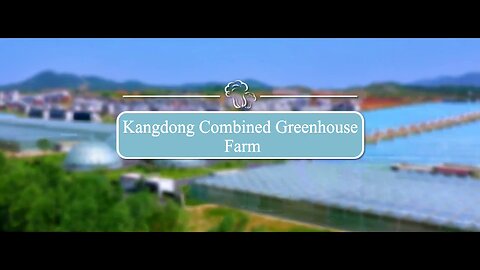 Kangdong Combined Greenhouse Farm