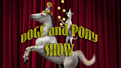 Planet Piracy 120: DOGE and PONY SHOW