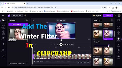 Add The Winter Filter In Clipchamp