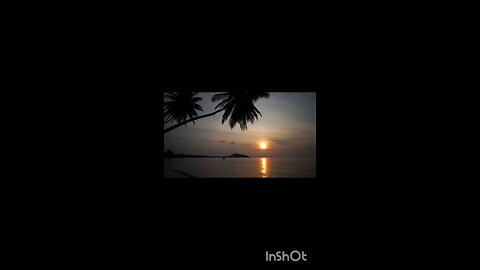 enjoy sun