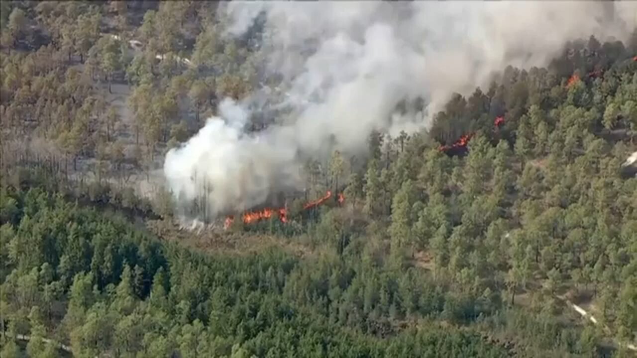 Man charged with arson after authorities say he sparked New Jersey Pine Barrens fire