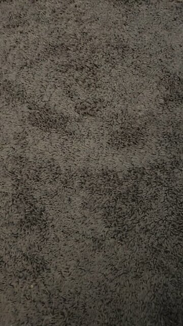 Test 2 primary and secondary