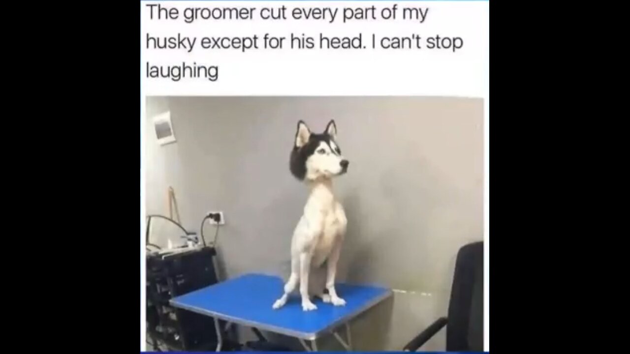 Your Daily Dose Of Internet