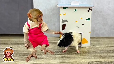 Smart monkey YiYi goes to work to earn money to buy a house new for mouse