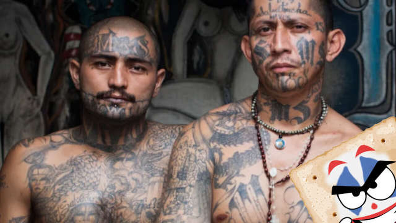 Dems Don't Want Gang Members Deported ReeEEeE Stream 04-04-25