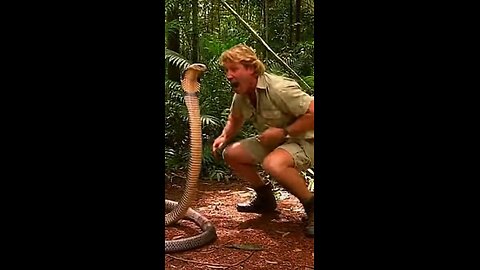 Steve Irwin bitch slaps a king cobra