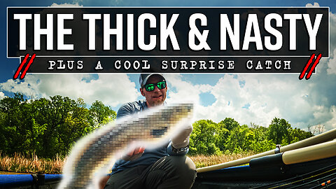 Thick & Nasty Largemouth Bass (Surprise Catch!) Midwest Fishing