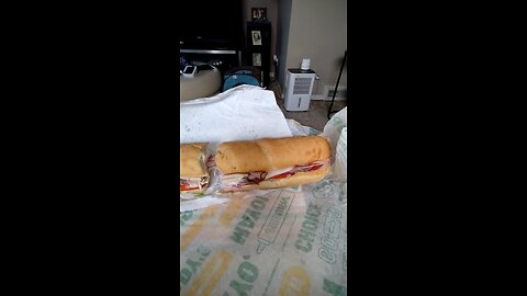 Meal, Subway, Telegraph Rd, Dbn, MI, 7/3/25