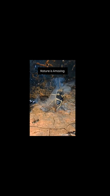 Amazing...Burning ring of Fire