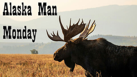 A Trip To the Post Office: Meeting Moose