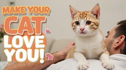 How to Be Your Cat’s Favorite Human | 5 Psychological Facts About Cats 🐱