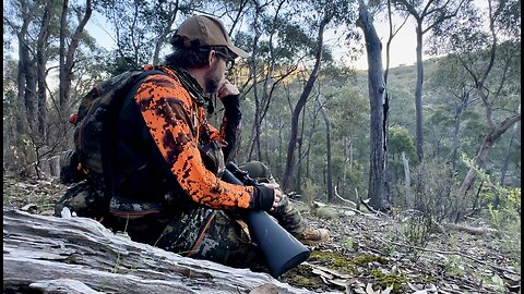 🦌 2 Days Hunting Sambar Deer in the Victorian Alps | Backpack Camping Adventure