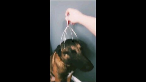 #funny #foryou #fyp #viralvideo #trending #lol #comedy