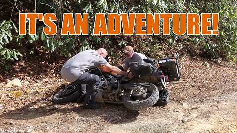 Tennessee Woods (VSTROM GO CRASH!)