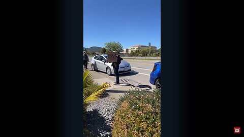 Tesla protesters confronted by MICHAEL SAVAGE