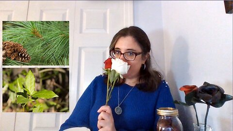 Healing Grief Through Herbs