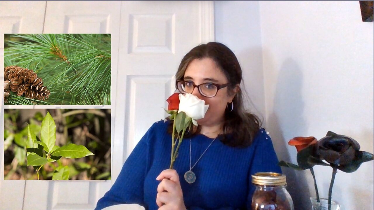 Healing Grief Through Herbs