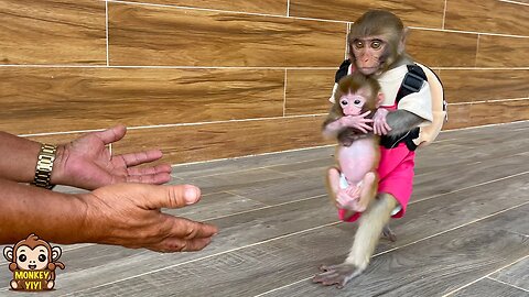 YiYi asks grandpa to take care of monkey Yumy to visit YinYin