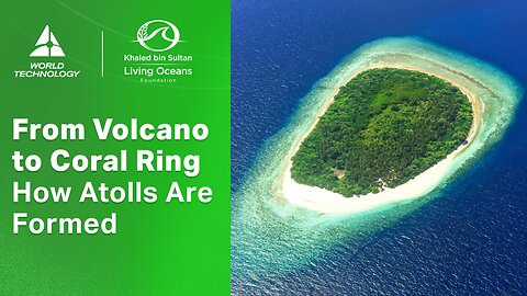How Atolls Are Born – A 30 Million Year Journey Under the Sea | Living Oceans Foundation