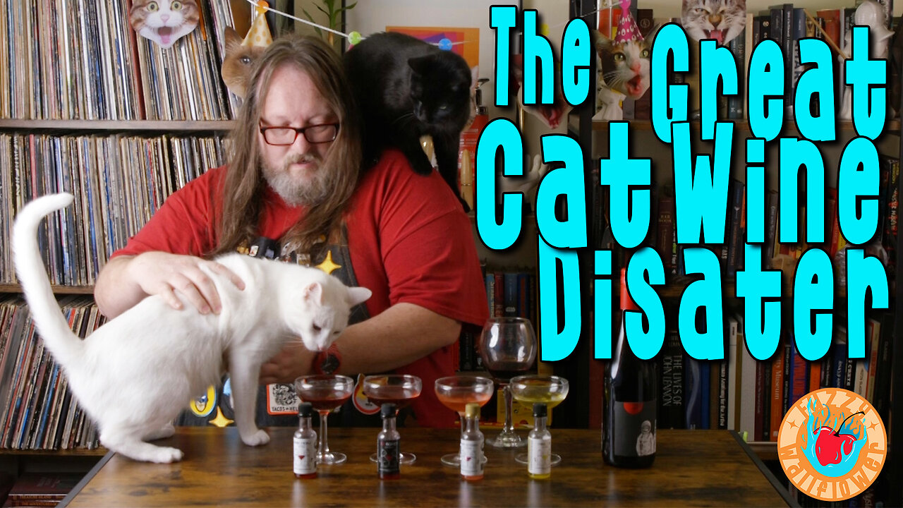 Cat Wine Tasting Goes COMPLETELY Wrong!
