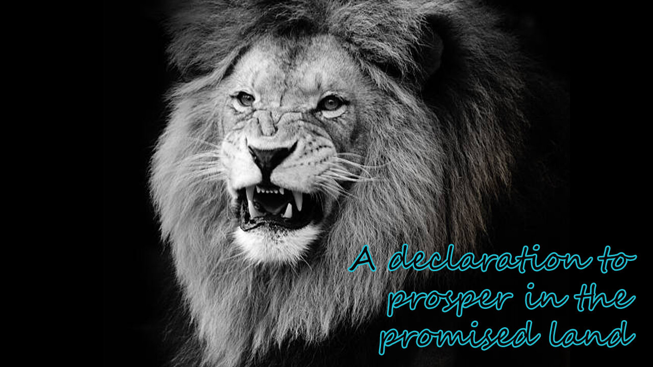 A declaration to prosper in the promised land