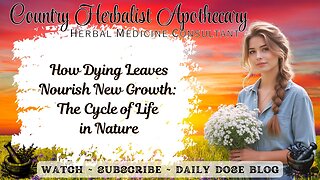 How Dying Leaves Nourish New Growth: The Cycle of Life in Nature