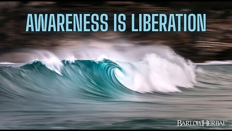 Awareness Turns Moments into Choices