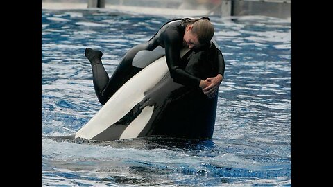 Jessica Radcliffe Orca Attack Jessica