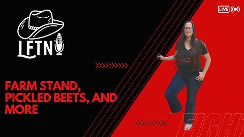 Chipmunks and Accepting Help