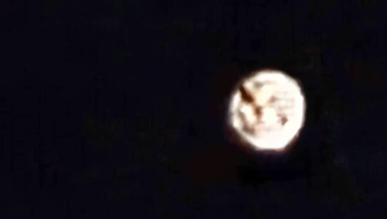 Chris Bledsoe and the Orbs