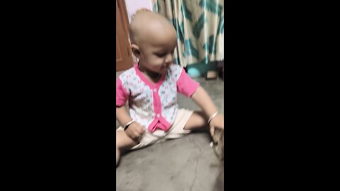 playing with dog