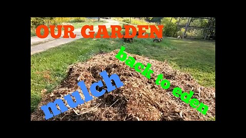 Our Garden - back to eden- mulch based