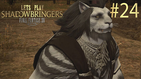 Let's Play Final Fantasy XIV SHADOWBRINGERS Ep 24