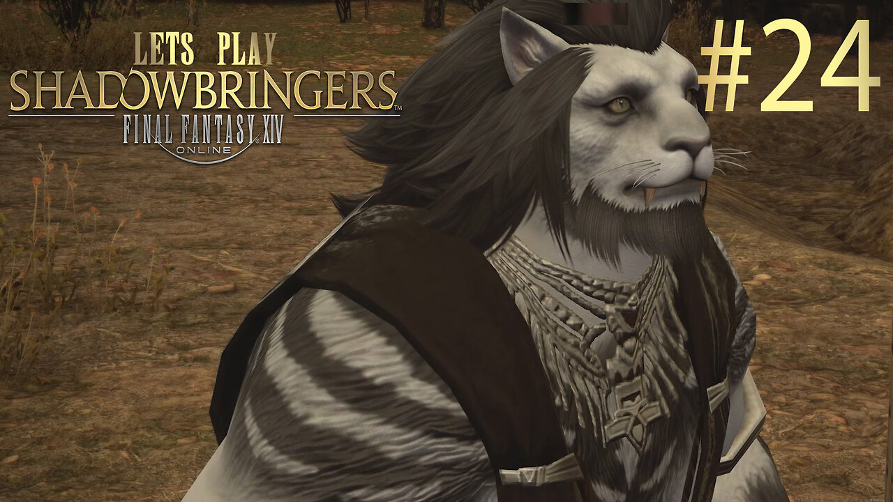 Let's Play Final Fantasy XIV SHADOWBRINGERS Ep 24